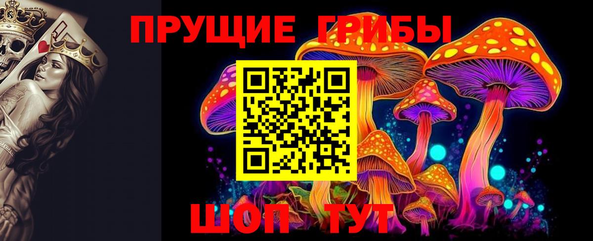 Галлюциногенные грибы Psilocybine cubensis Усть-Кут