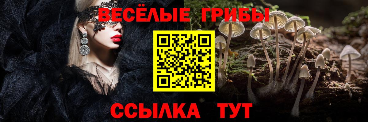 Галлюциногенные грибы Psilocybine cubensis  Галлюциногенные грибы GOLDEN TEACHER  Усть-Кут  Вход с VPN 